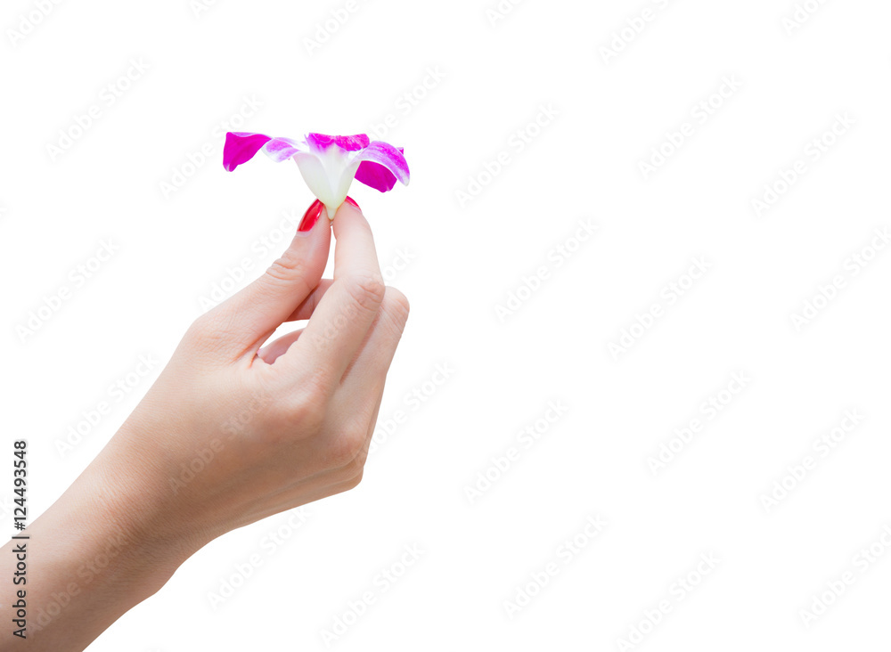 Beautiful hands with manicure and purple orchid flower Beautiful hands with manicure and purple orchid flower
