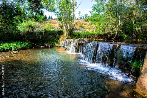 Wild river in carpathian mountains