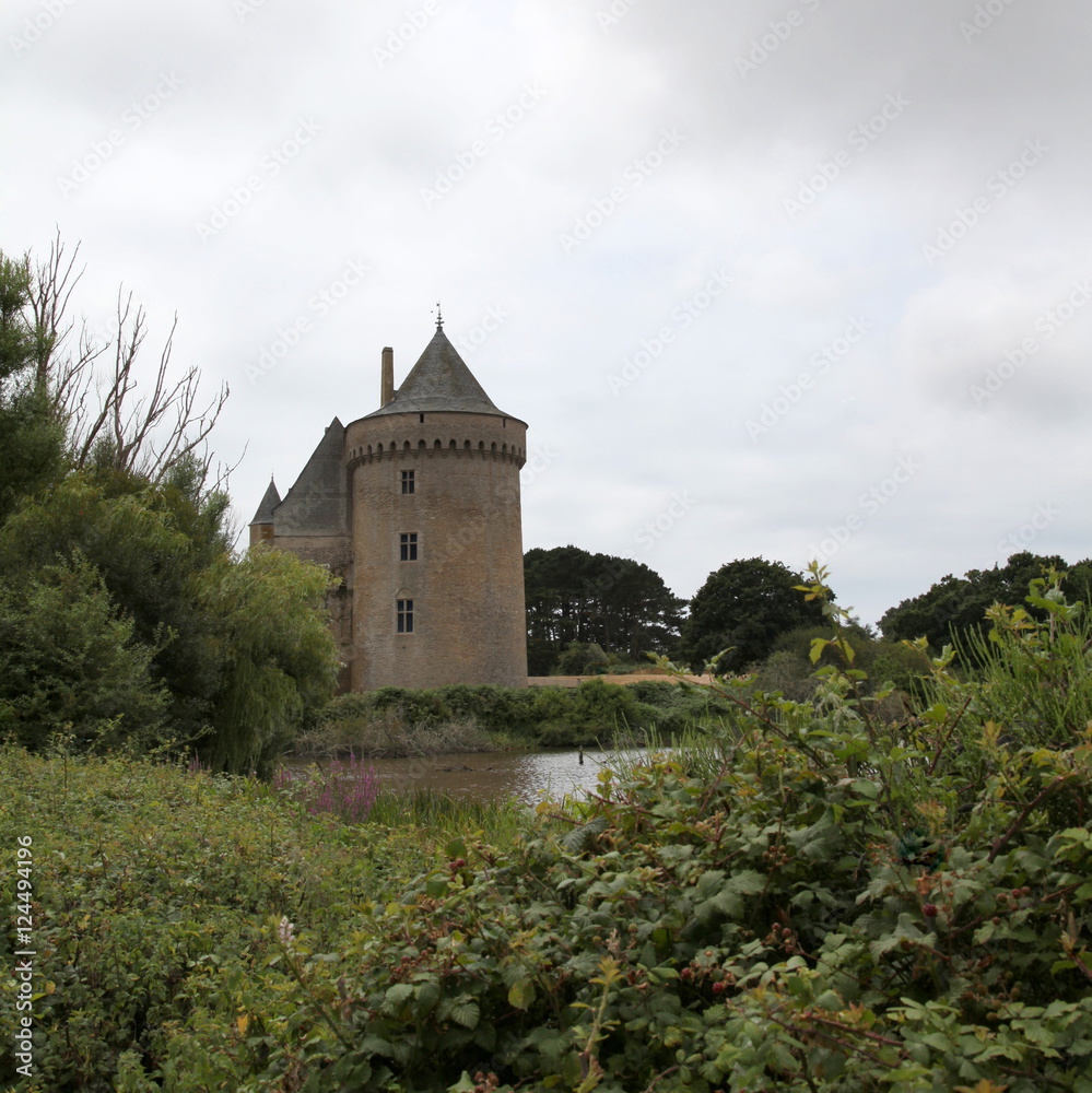 Le château de Suscinio et son étang. Le château de Suscinio et son étang.