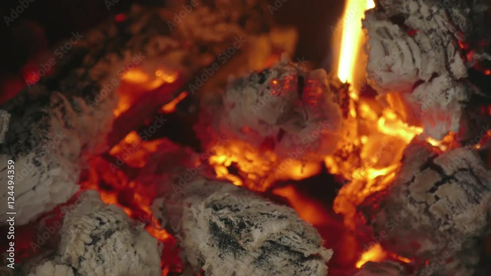 Fire flame / Fire of burning wood, close-up Fire flame / Fire of burning wood, close-up