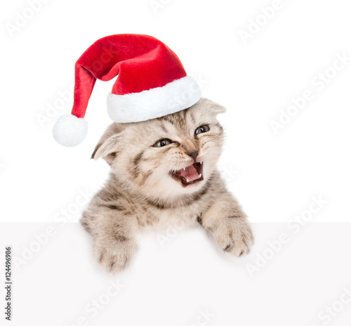 Tabby kitten in red santa hat looking out because of the poster. isolated on white © Ermolaev Alexandr