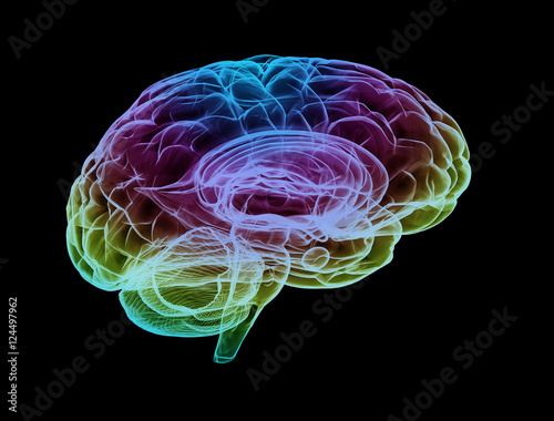 Human brain multi color isolated on black background photo