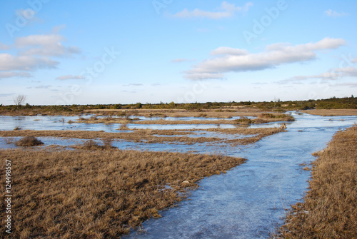 Fototapeta Naklejka Na Ścianę i Meble -  Flooded grassland