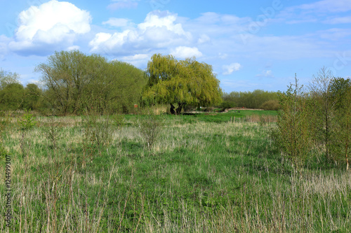 Countryside view in Bedford