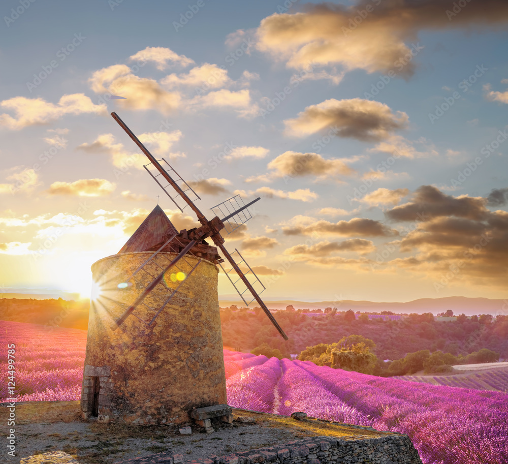 Fototapeta premium Wiatrak z levander polem przeciw kolorowemu zmierzchowi w Provence, Francja