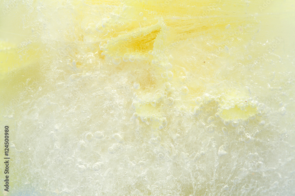 frozen flora - yellow carnation frozen flora - yellow carnation