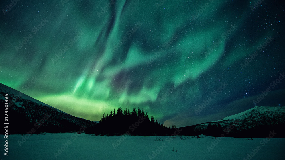 Aurora Borealis, Northern Lights in Norway