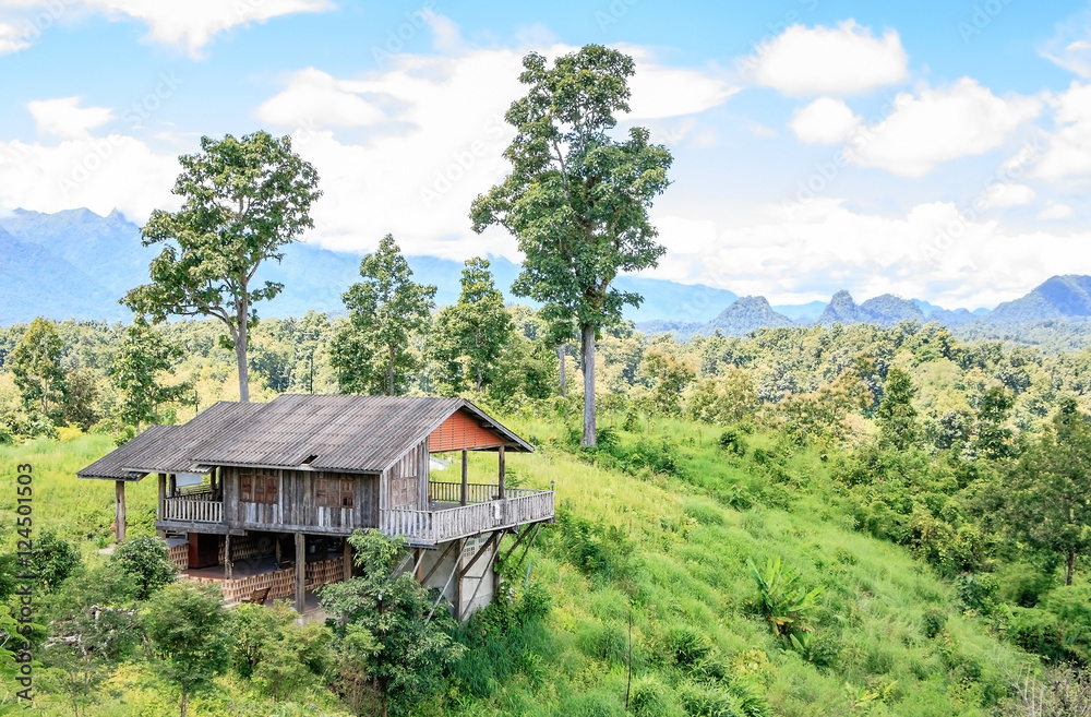 Mountain and Home