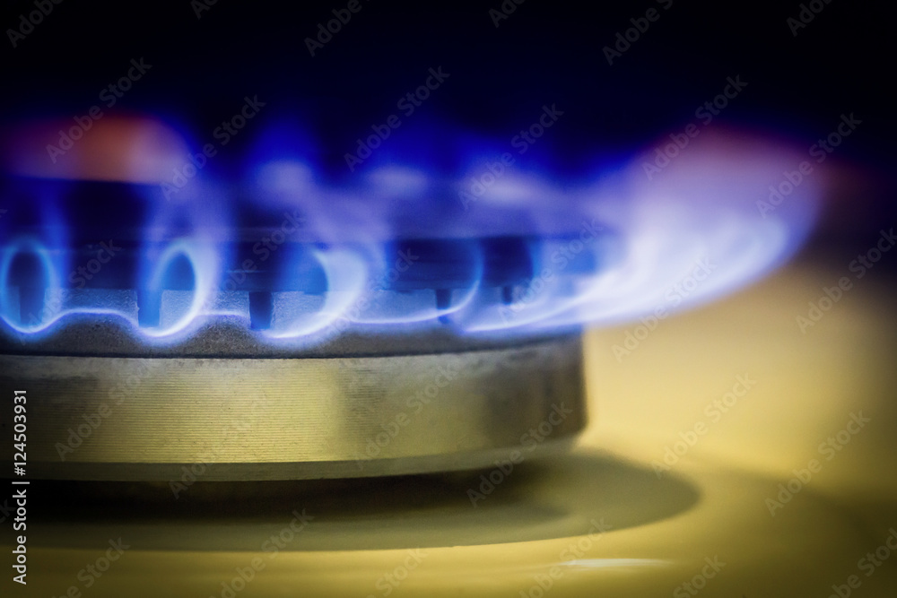 Fototapeta Burner gas stove