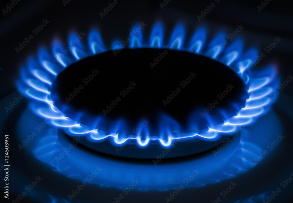 Burner gas stove Burner gas stove