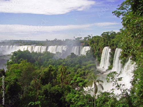 Argentine  chutes d Igua  u