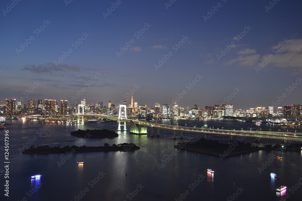 Tokyo Night View