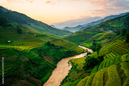 Terraced rice field in Mu Cang Chai, Vietnam photo