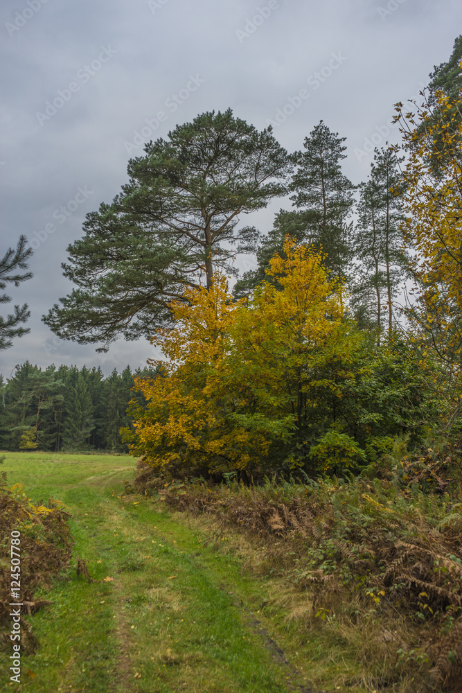 Herbst Herbst
