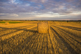 rural landscape, field after harvest