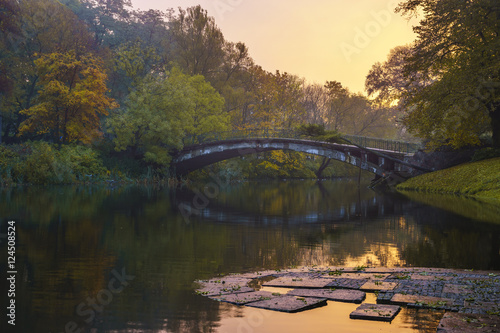 wonderful, colorful sunrise in autumnal park