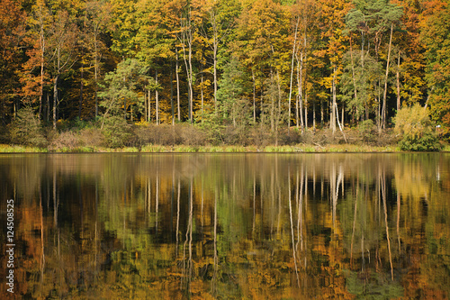 autumn landscape with forest and lake