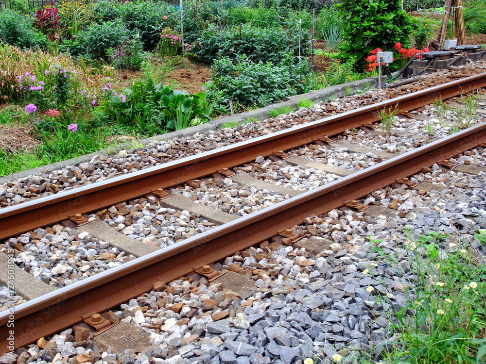 Naklejka premium 菜園の脇の線路