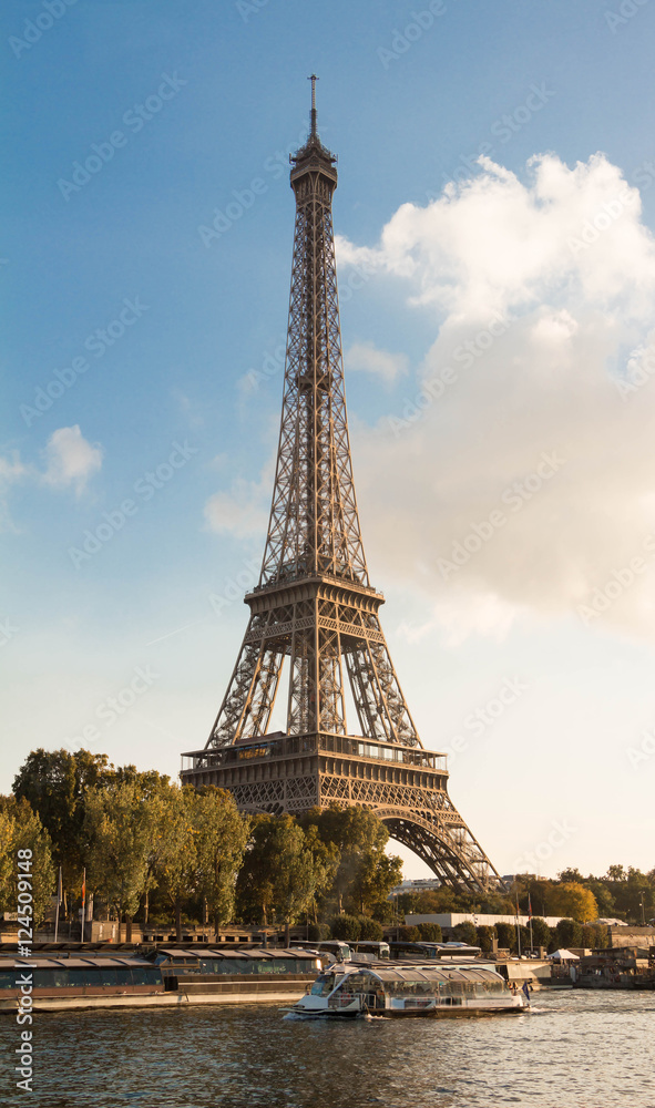 Fototapeta premium The Eiffel tower, Paris, France.