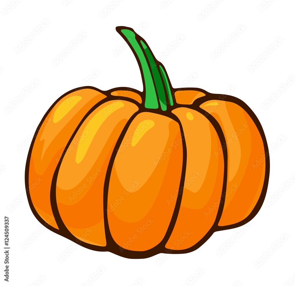 Halloween pumpkin vector hand drawn image Halloween pumpkin vector hand drawn image