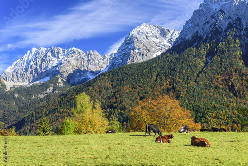 herbstliche Naturidylle in den bayrischen Alpen