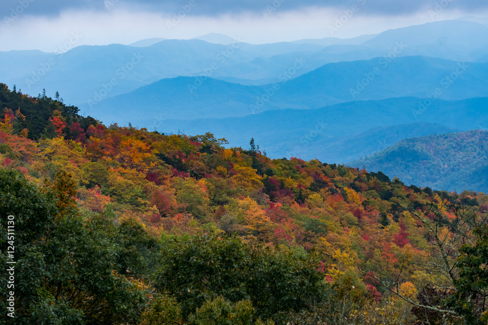 Changing Leaves With Layers of Appalachian Mountains