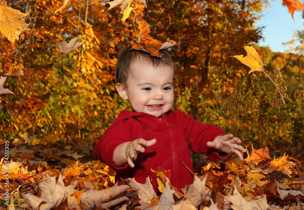 feuilles feuilles