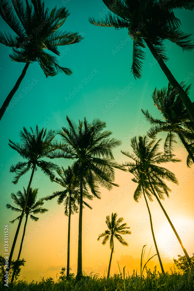 Obraz premium Silhouette coconut palm trees on beach at sunset. Vintage tone.