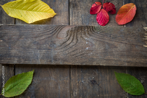 Altes Holz mit Laub