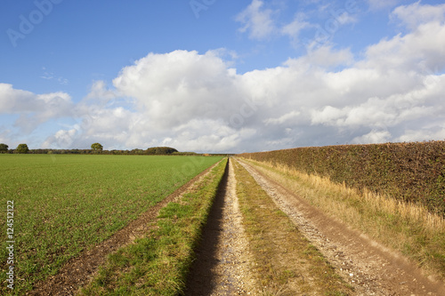 scenic bridleway