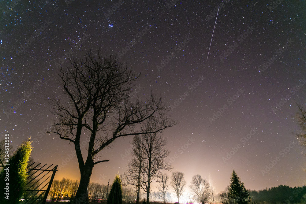Stars at night with tree and road Stars at night with tree and road