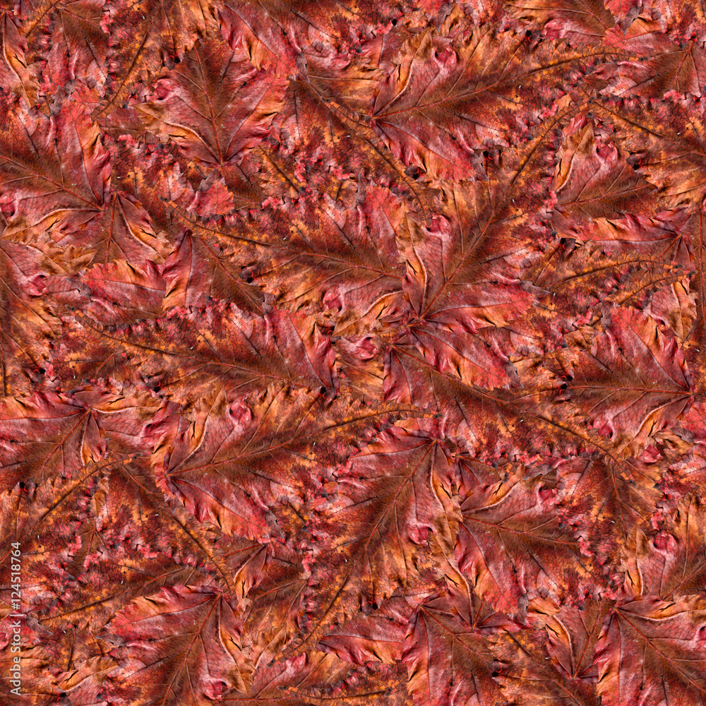 seamless background pattern texture made of maple leaves seamless background pattern texture made of maple leaves