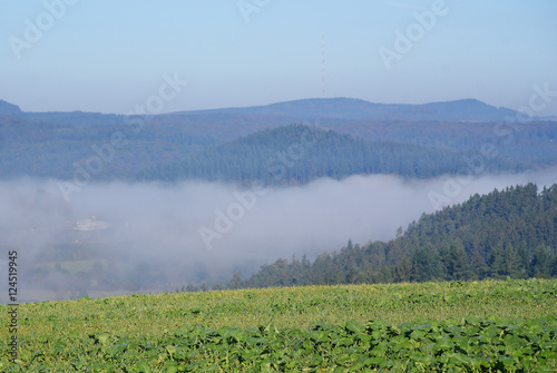 Herbstmorgen Eifel