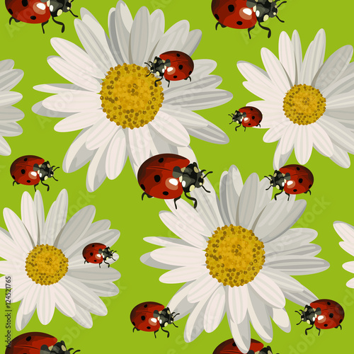 Seamless pattern with daisy flowers and ladybugs.
