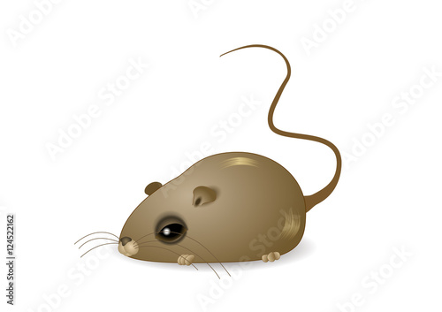 A cute little mouse. Vector illustration
