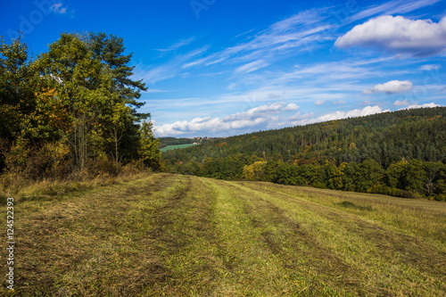 Autumn field