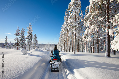 Sunny winter landscape with a man traveling Finnish Lapland with snowmobile