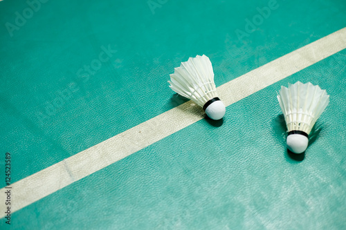 Shuttlecock on badminton playing court 