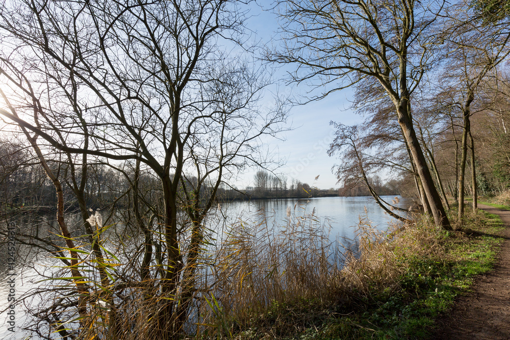 Obraz premium Lonely Hiking trail at to Lake Born / Germany