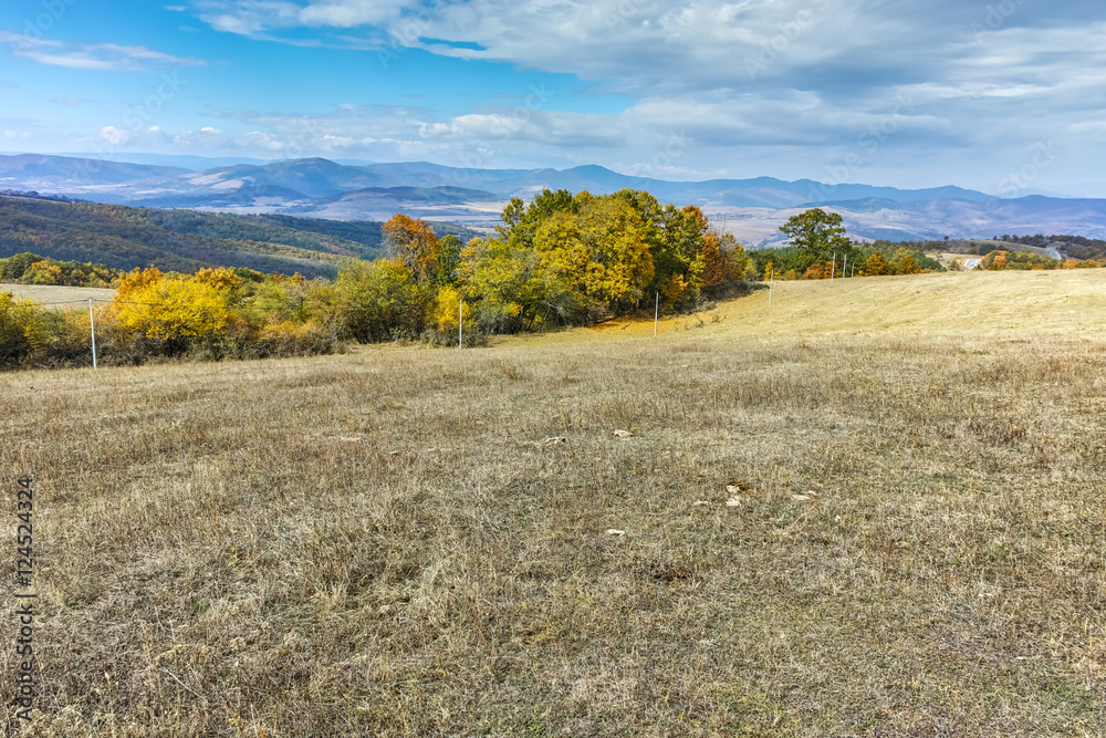 Autumn landscape of Cherna Gora mountain, Pernik Region, Bulgaria