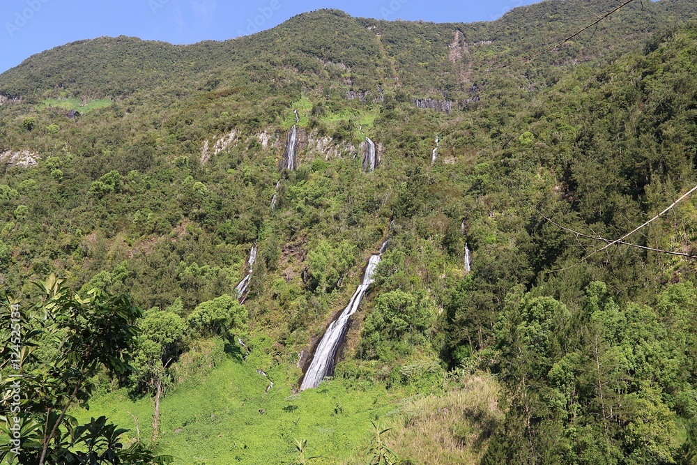 Fototapeta premium Voile de la mariée