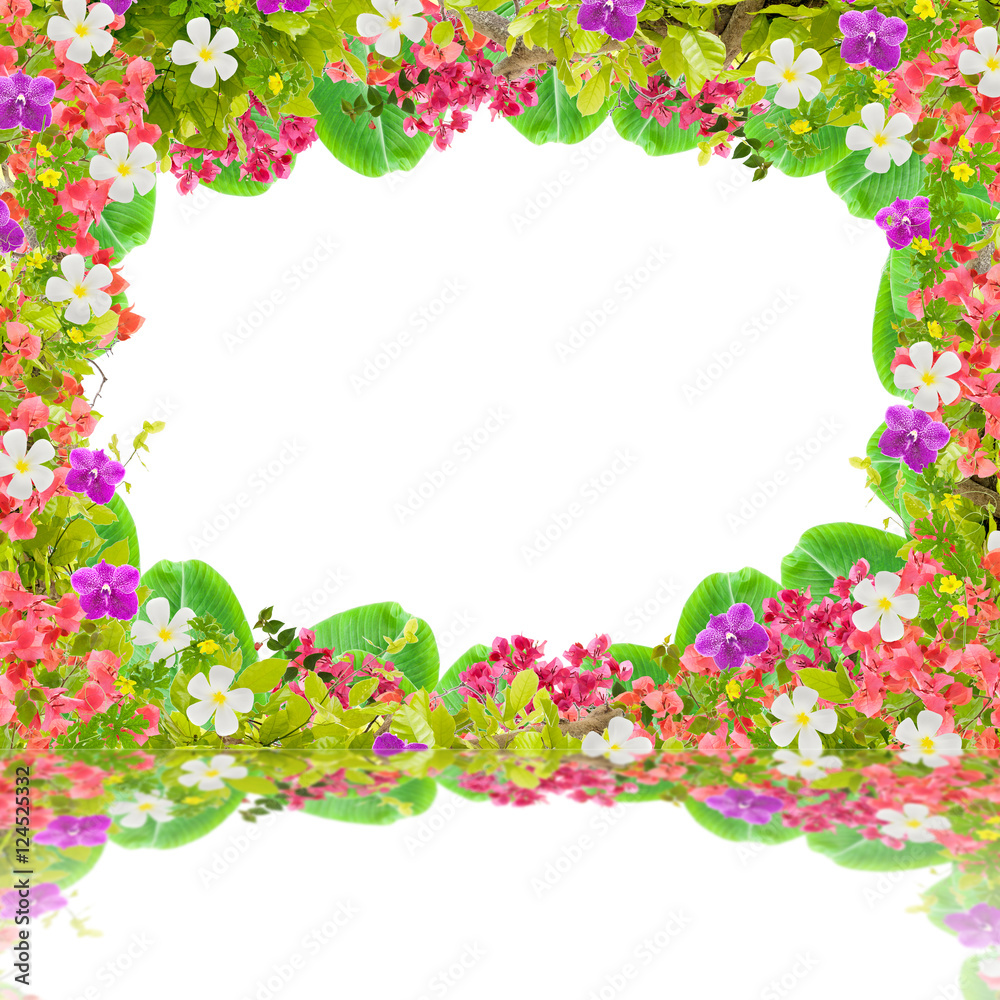 Beautiful green leaves frame with flower on white background wit
