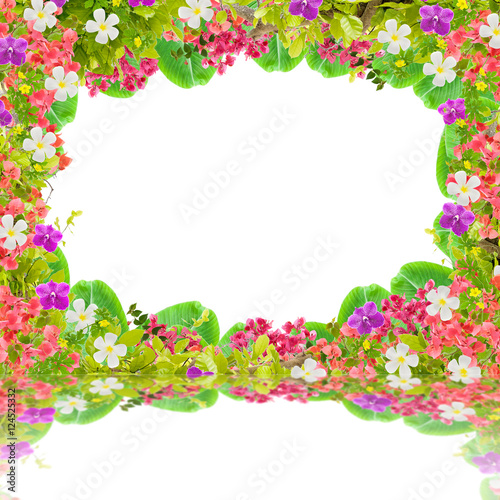 Beautiful green leaves frame with flower on white background wit © panya99