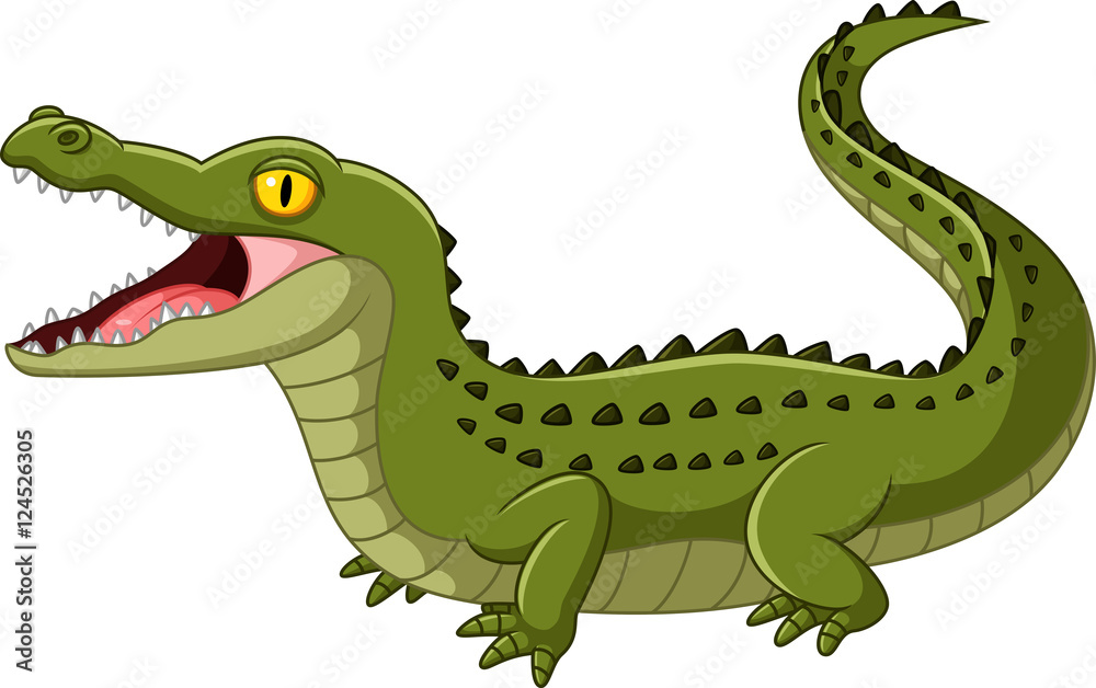 Fototapeta premium Crocodile open mouth