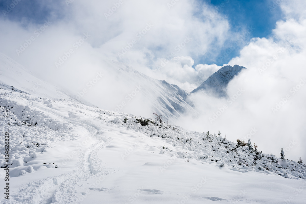 mountain tops in winter covered in snow