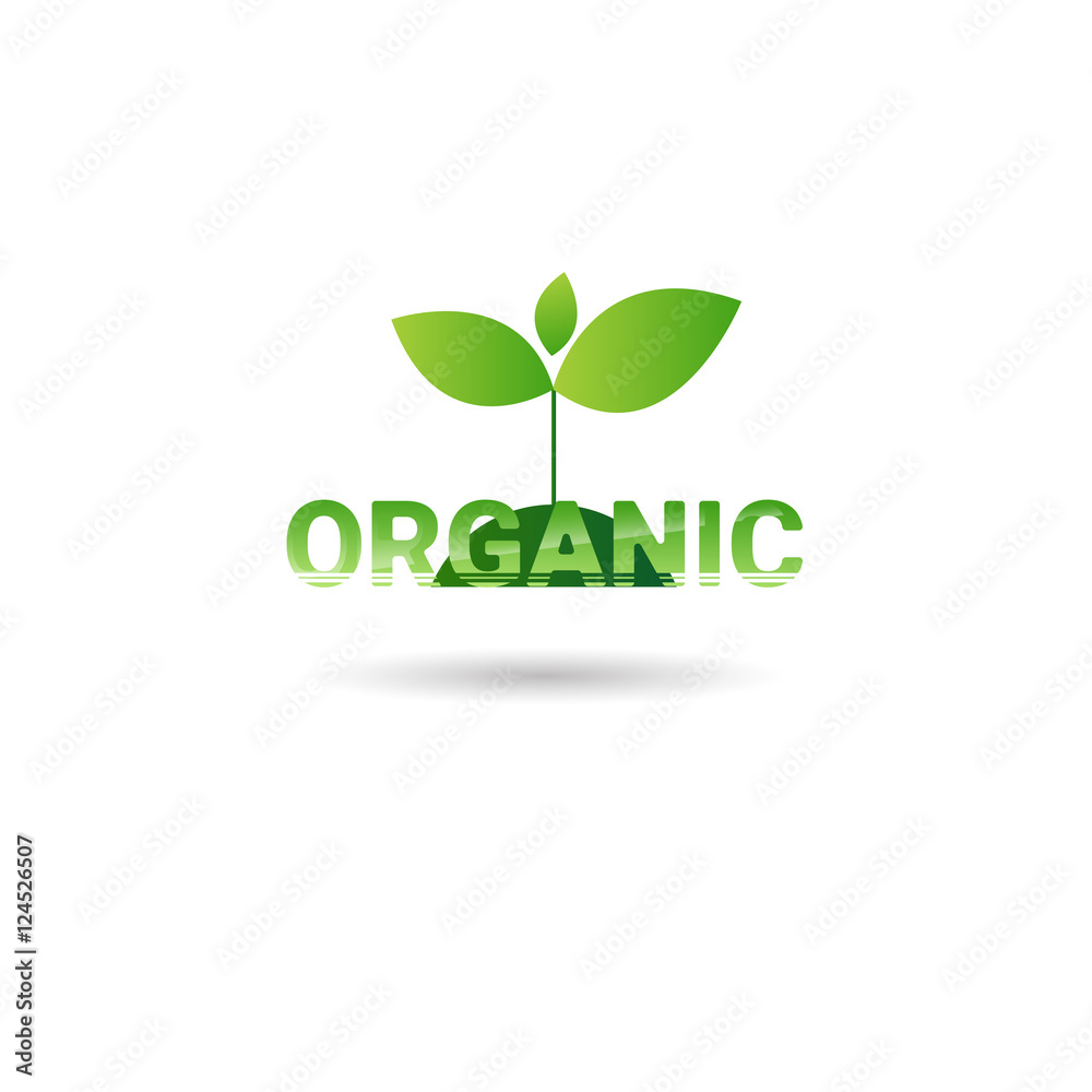 Eco Friendly Organic Natural Product Web Icon Green Logo Flat Vector Illustration Eco Friendly Organic Natural Product Web Icon Green Logo Flat Vector Illustration
