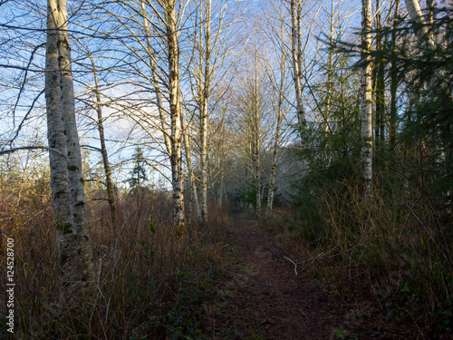 Chehalis River