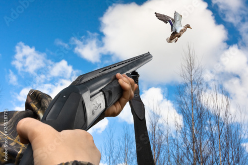 hands of hunter shooting from shotgun to flying duck