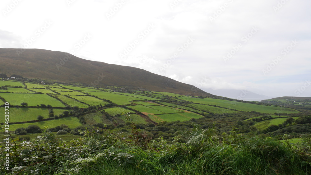 Ackerland in Irland