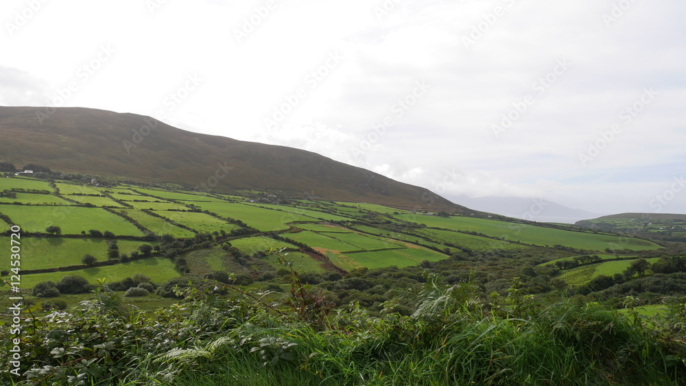 Naklejka premium Ackerland in Irland